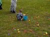 P4226567.jpg