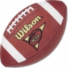 SUPERBOWL XLIV (44)