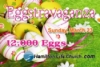 Eggstravaganza