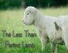 lamb.jpg