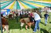 DSC_10982855.JPG