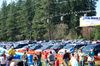 DSC_11432900.JPG