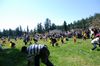 DSC_12402997.JPG