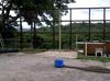 dreaded fence.jpg