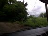 IMG-20110530-00271.jpg