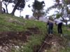 IMG-20110530-00284.jpg