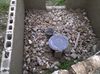 IMG-20110530-00303.jpg