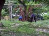 IMG-20110531-00308.jpg