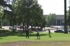 IMG_6088Copy.jpg