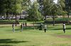 IMG_6091Copy.jpg