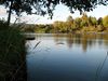 GCC Woodland Land2.jpg