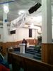 2011-01-26 19.21.38.jpg