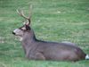 Chaplain retreat 024.jpg