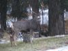 Chaplain retreat 039.jpg