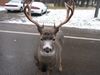 Chaplain retreat 040.jpg