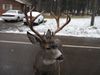 Chaplain retreat 041.jpg