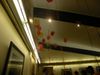 DSCN4281.JPG