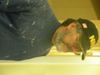 DSCN4287.JPG