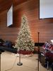 DSCN1900.JPG