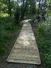 100_2240.jpg