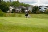 DP_6429.jpg DP_6429.jpg