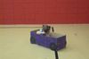 DSC01817.JPG