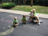 VBS 2007