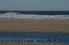 DSC_0265.JPG