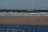 DSC_0266.JPG