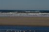 DSC_0268.JPG