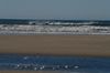 DSC_0269.JPG