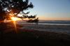 DSC_0282.JPG