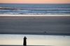 DSC_0291.JPG