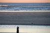 DSC_0292.JPG