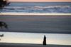 DSC_0297.JPG