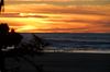 DSC_0304.JPG