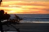 DSC_0306.JPG
