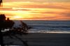 DSC_0307.JPG