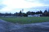 Field and Track.JPG