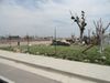 Joplin 009.jpg