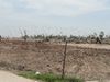 Joplin 010.jpg