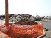 Joplin 040.jpg