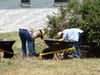 Joplin 042.jpg