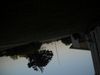 DSCN5493.JPG