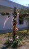 IMAG0160.jpg