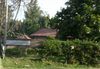 P1010994.JPG