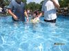 IMG_0254.JPG