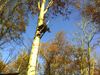 Girl_Scouts_Outdoor_Berlin_Adventure_Nov_2011_012.jpg