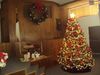 DSC02578.JPG