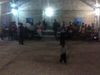 austin 2011 087.jpg